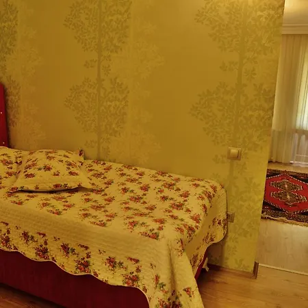 Guest house Dedeli Deluxe 3*